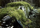 erick klemm photography